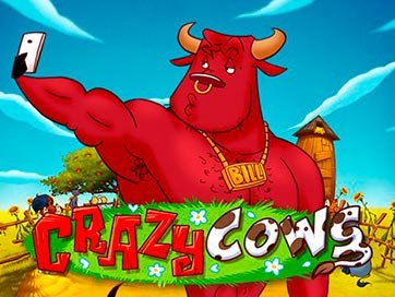 Crazy Cows